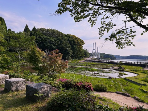 全景01