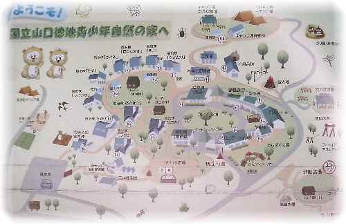 イメージ 5