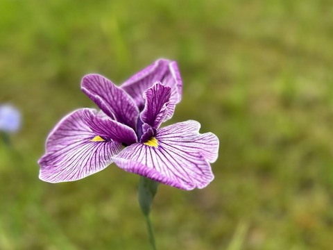 014