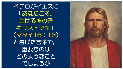 スクリーンショット (1648)