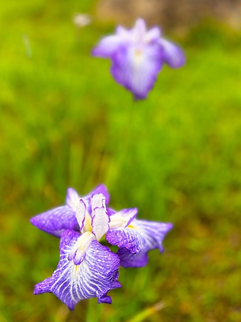 IMG_7489