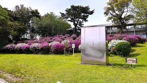 008