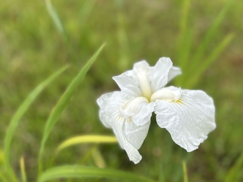 018