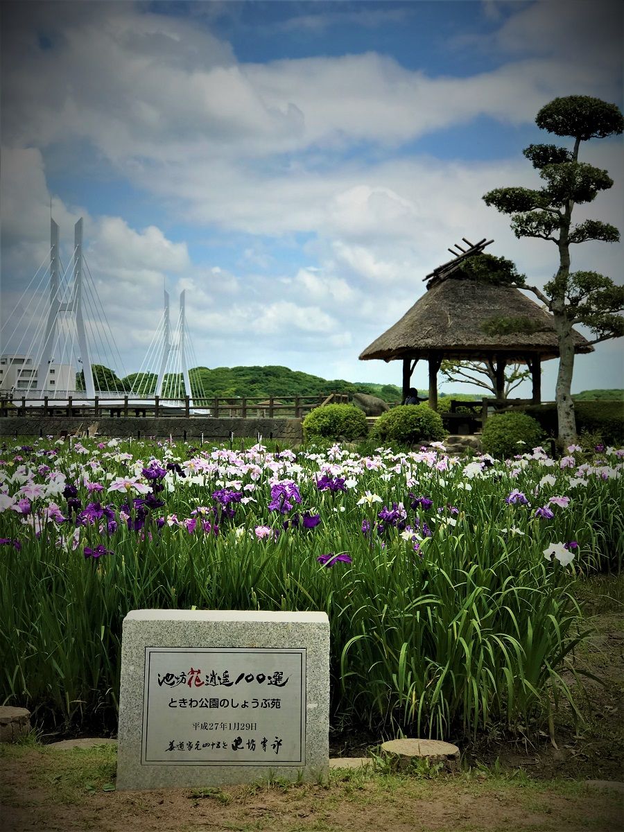 イメージ 1