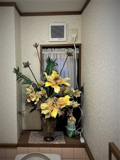 IMG_0461 (2)