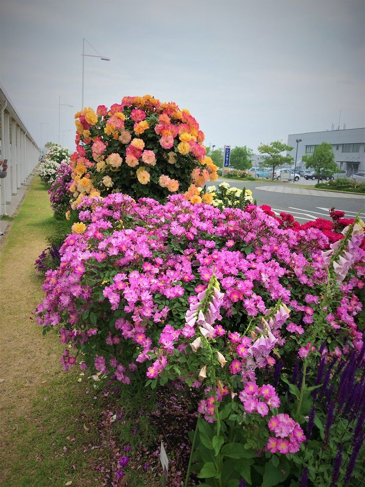 イメージ 14