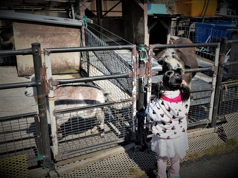 IMG_7907