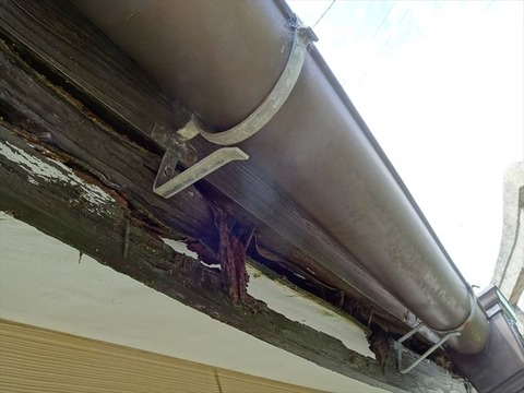 DSC03071(Small)