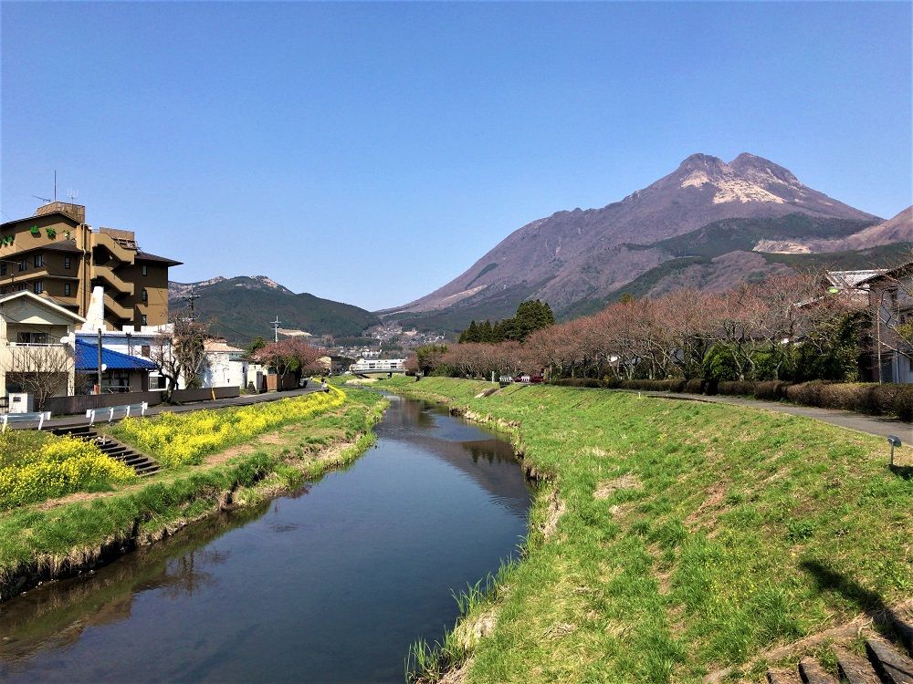 イメージ 11