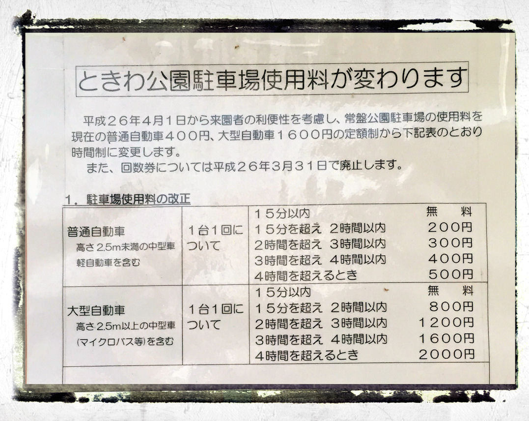 イメージ 8