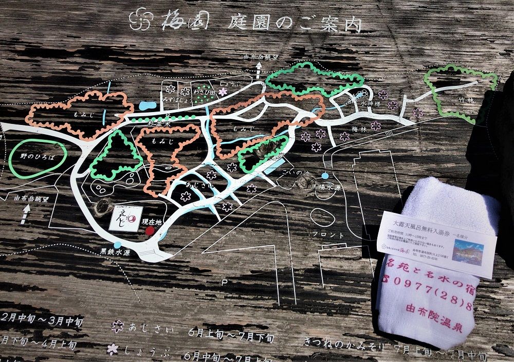 イメージ 10
