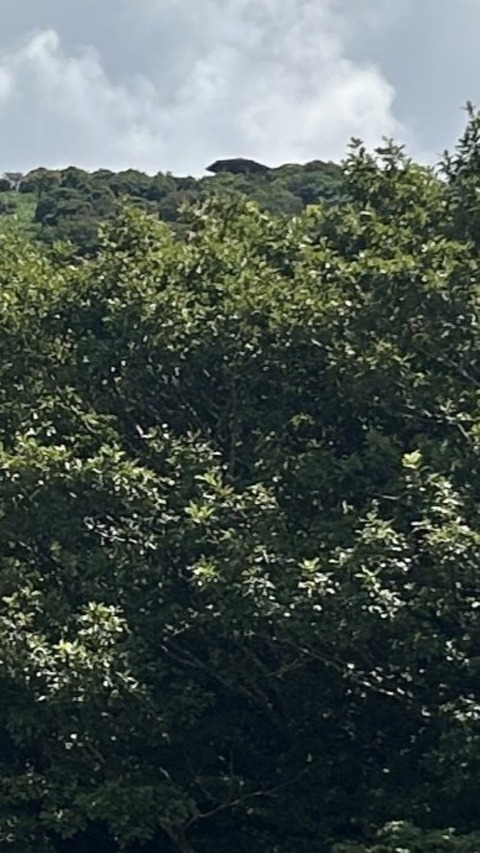 001-2