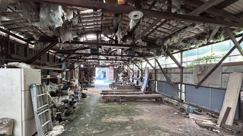 IMG_7856