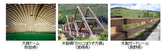 イメージ 7