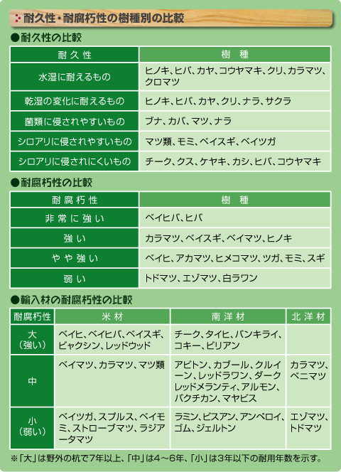 イメージ 8