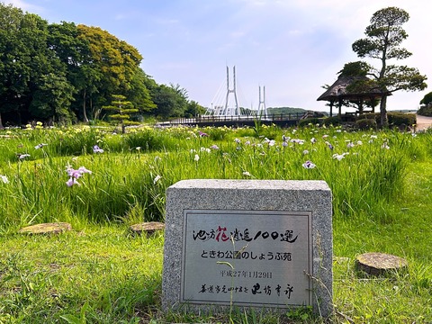 全景02