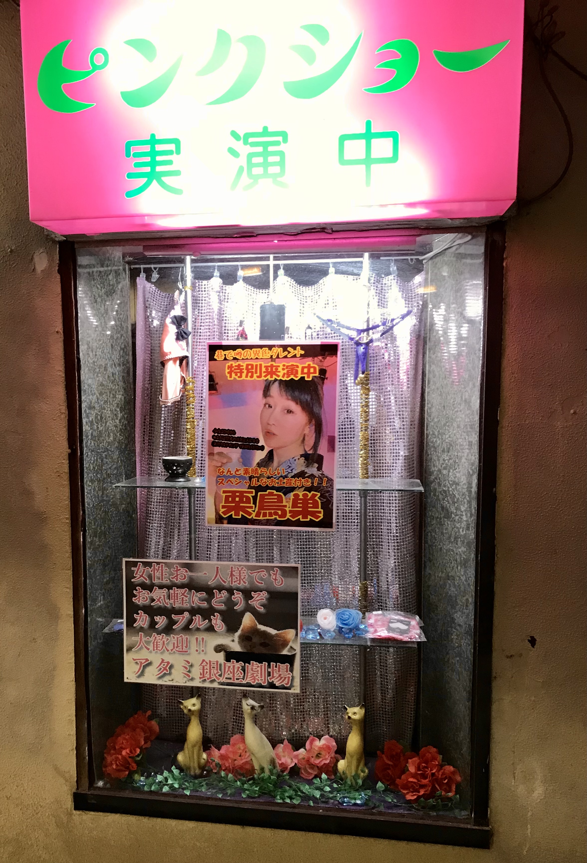 お座敷ストリップショウ ストリップショーを観に行こう！〜熱海の秘境「熱海銀座劇場」にて昭和の空気を堪能する〜 : 山の部活OB