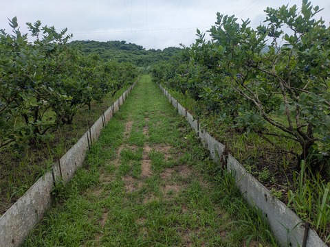PXL_20260626_233513512