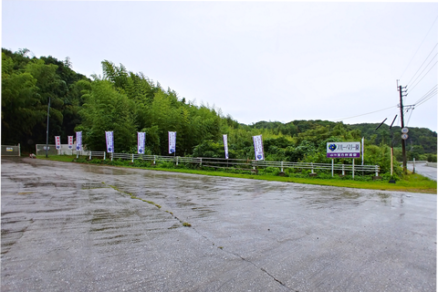 IMG00385_cut_HDR