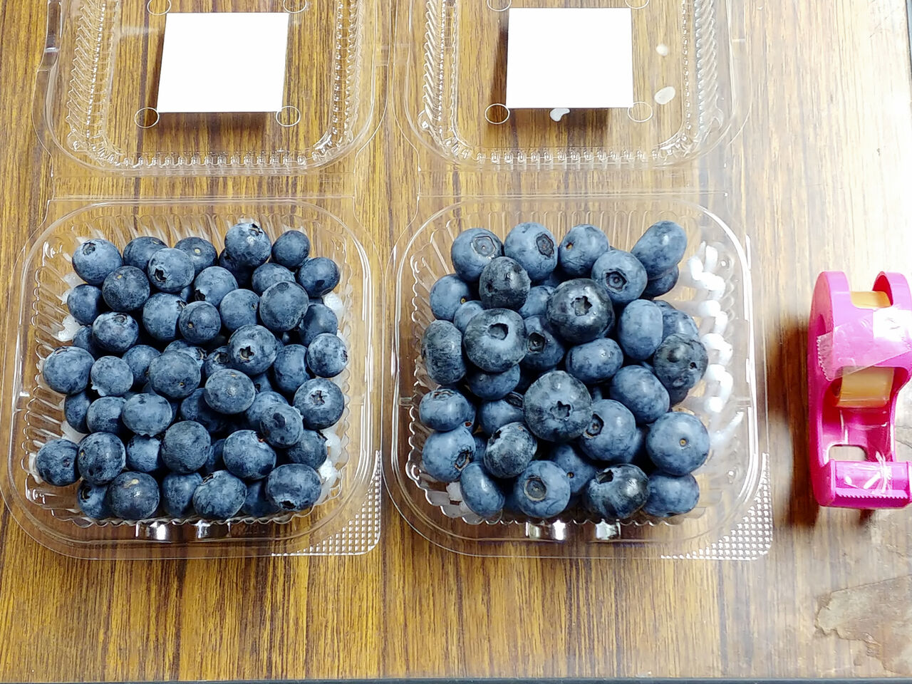 当園のブルーベリー生果について 山の里自然農園のおいしゃん日記 ブルーベリーとオリーブ