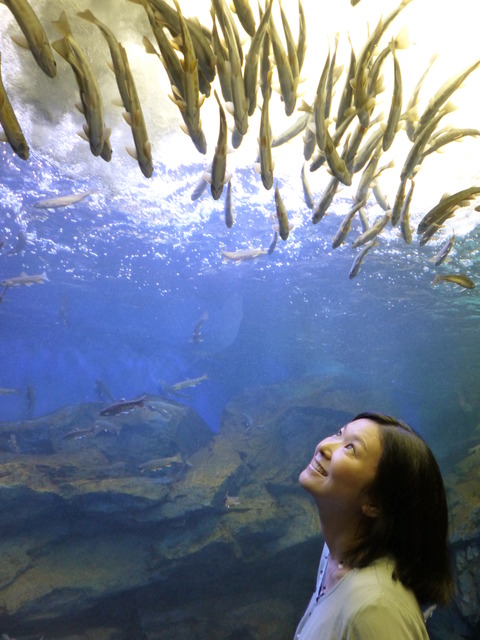 山の水族館