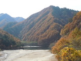 DSCN2275