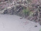 DSCN3183