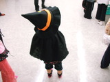 DSCF2006