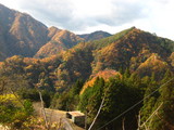 紅葉も終わりですね