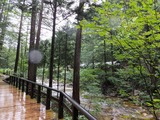 DSCF0666-1