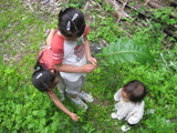三姉妹は。