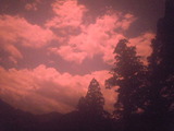 DSCN4248
