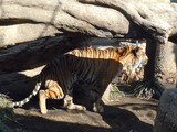 DSCN2871