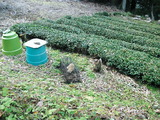 DSCF2125