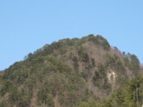 松茸山。
