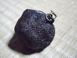 DSCN4272