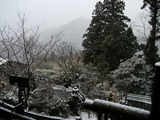 DSCF2145