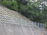 DSCF6488-1