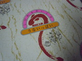 DSCN4268