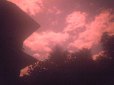 DSCN4247