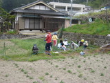まずは草取りから