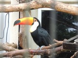 DSCN0492-1