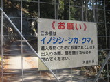 �ʤˤʤˡ�