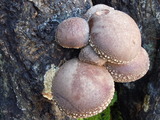 DSCN0189