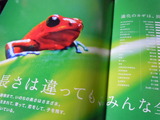 DSCN2288