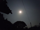 DSCN4005