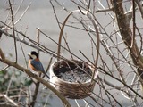 DSCN0031-1