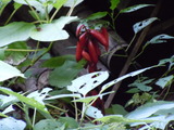 DSCN1816