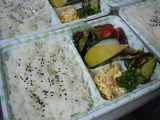 DSCN5006