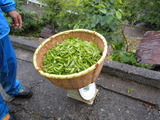 DSCN4450